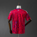 Costa Rica 2026 Home