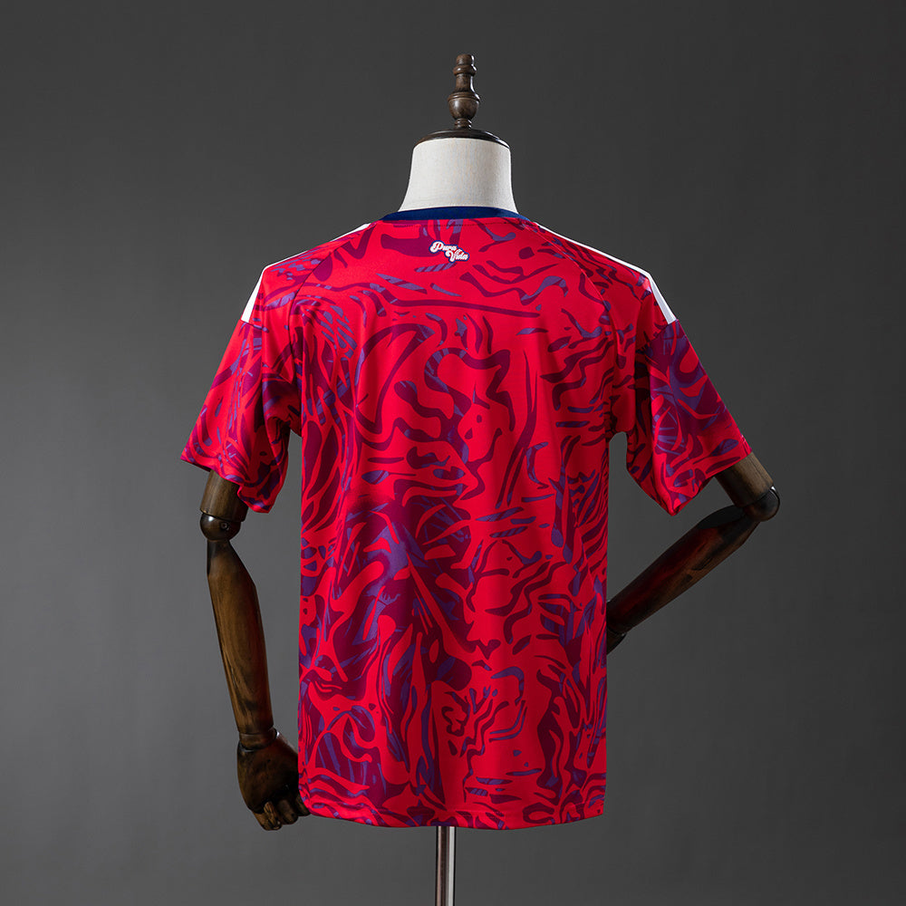 Costa Rica 2026 Home